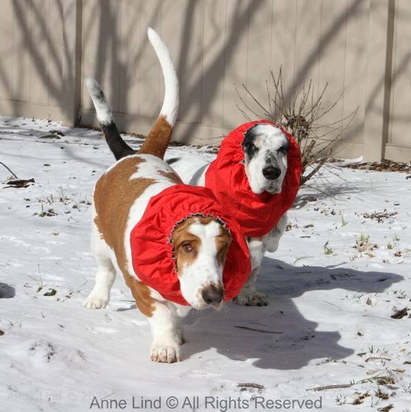 Izzi and Naomi in snoods