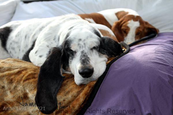 Izzi and Naomi