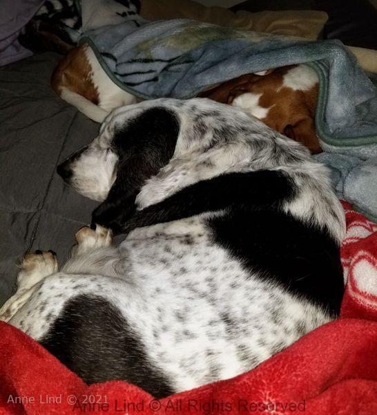 Izzi and Naomi