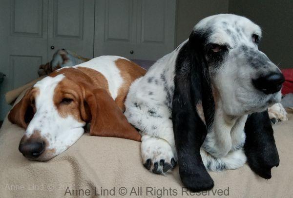 Izzi and Naomi