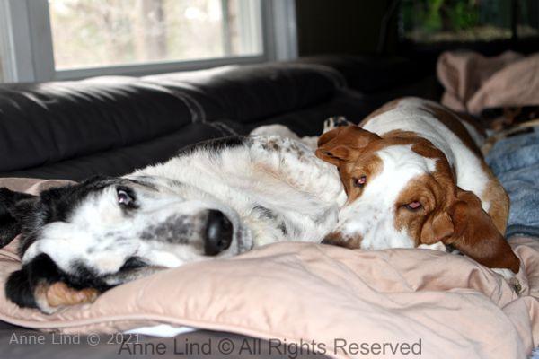 Izzi and Naomi