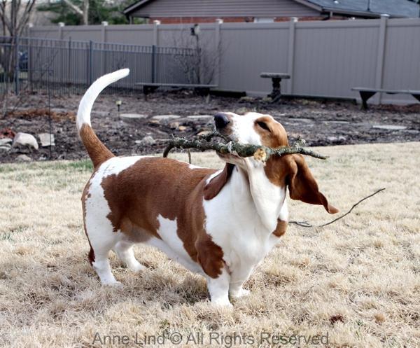 Naomi with her stick