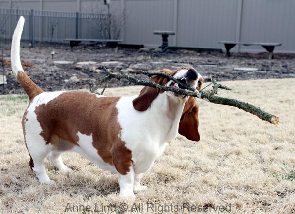 Naomi with her stick