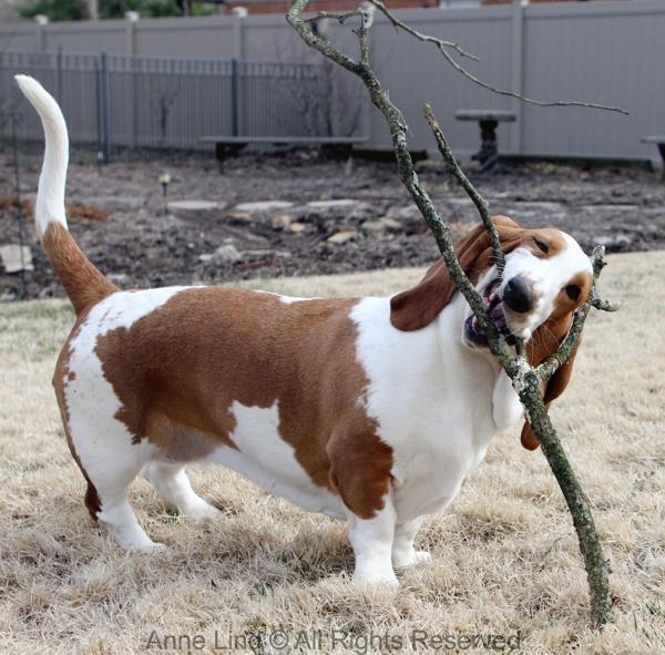 Naomi with her stick