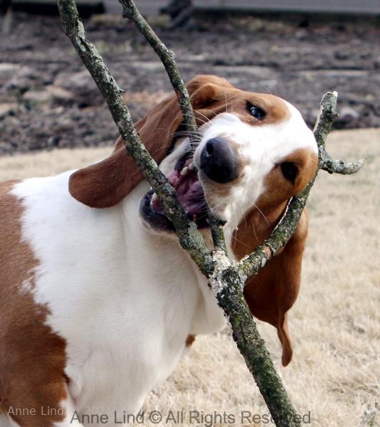 Naomi with her stick