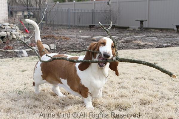 Naomi with her stick