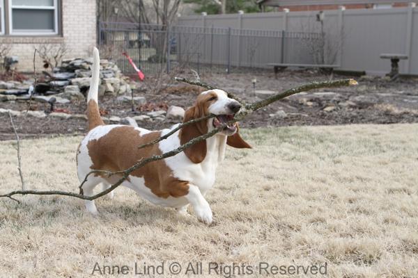 Naomi with her stick