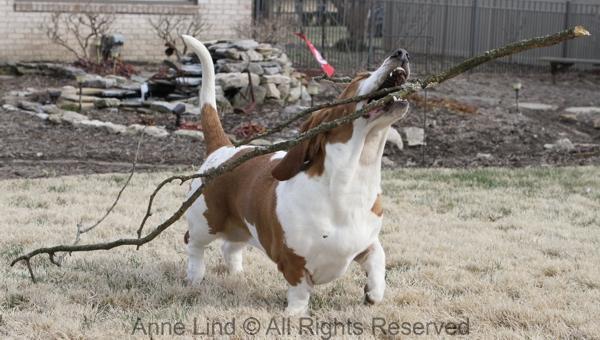 Naomi with her stick