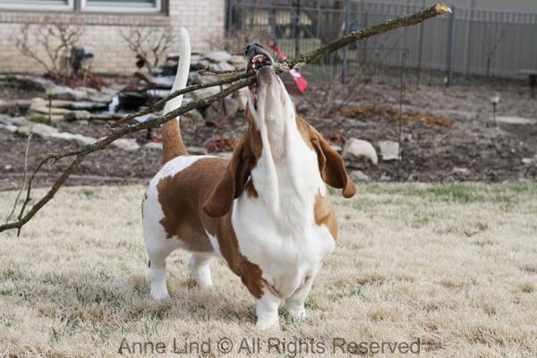 Naomi with her stick