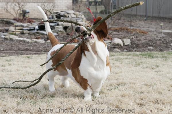 Naomi with her stick