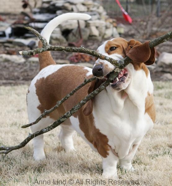 Naomi with her stick