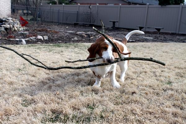 Naomi with her stick
