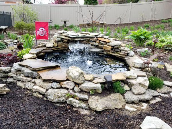 Pond redo 2019