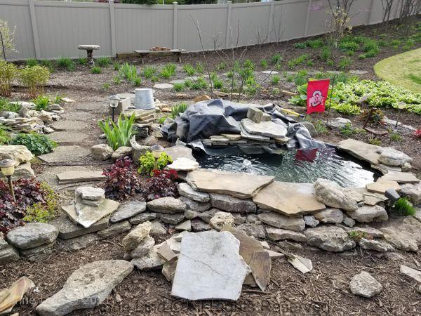 Pond redo 2019