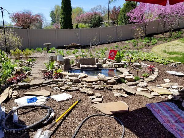Pond redo 2019