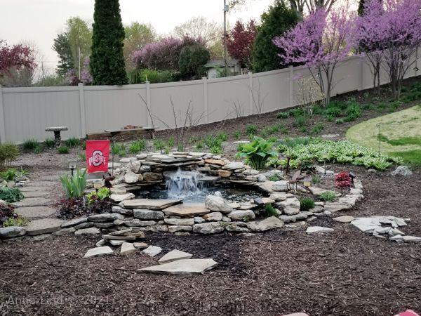 Pond redo 2019