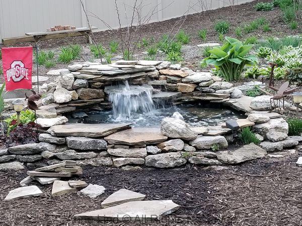Pond redo 2019