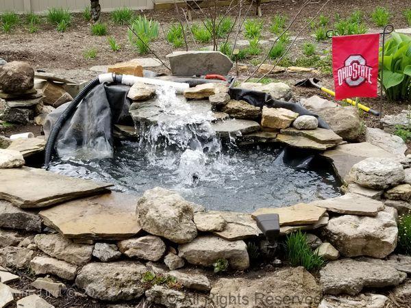 Pond redo 2019