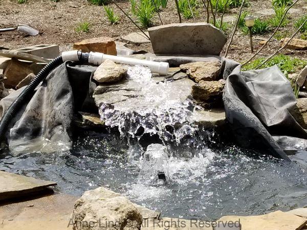 Pond redo 2019