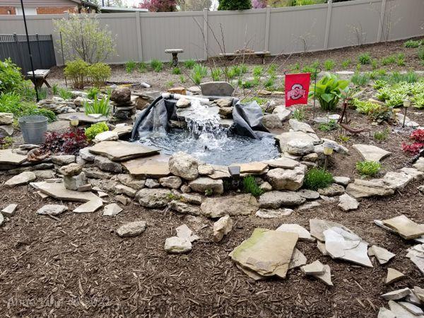 Pond redo 2019