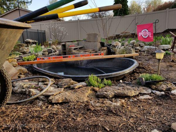 New pond