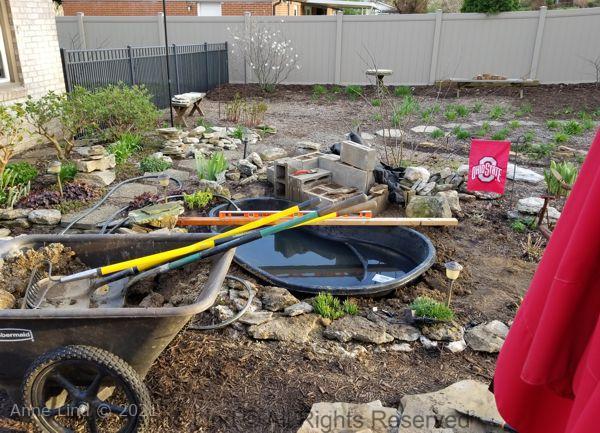New pond