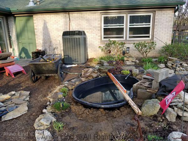 New pond