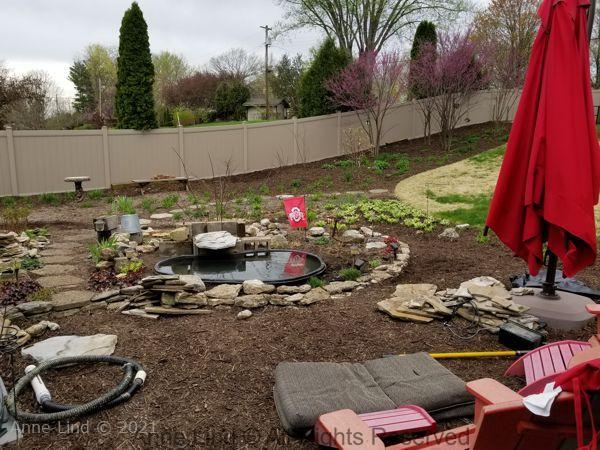 New pond