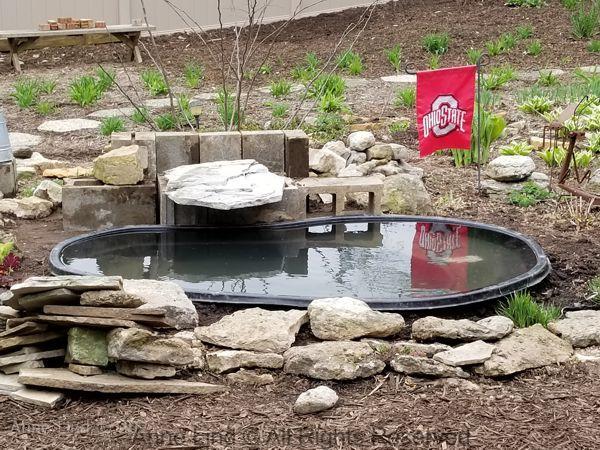 New pond