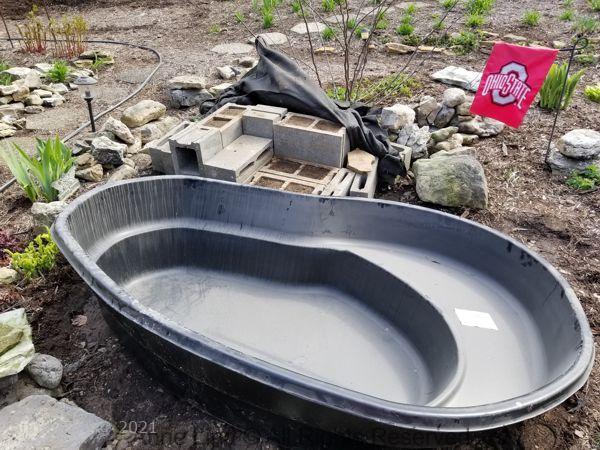 New pond