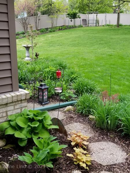 Yard picts 2019