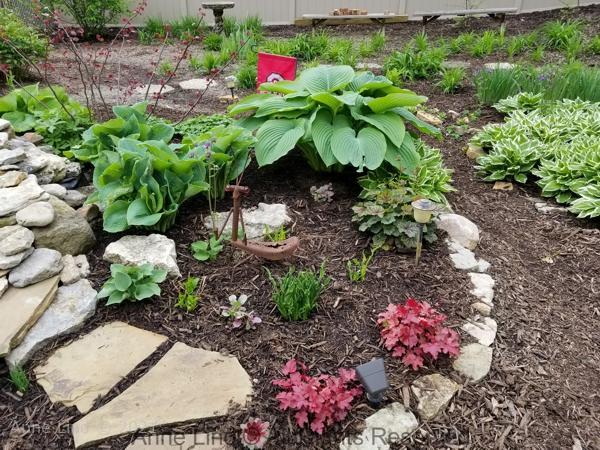 Yard picts 2019