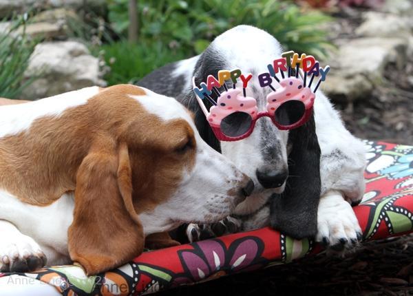 Izzi and Naomi