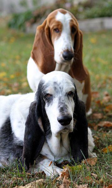 Izzi and Naomi