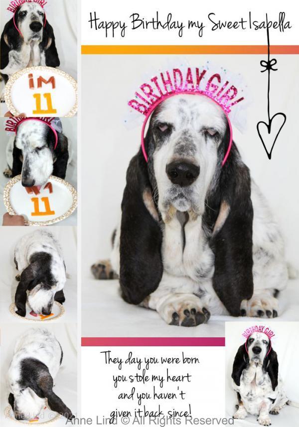 Izzi turns eleven