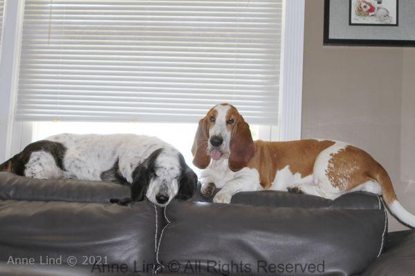 Izzi and Naomi