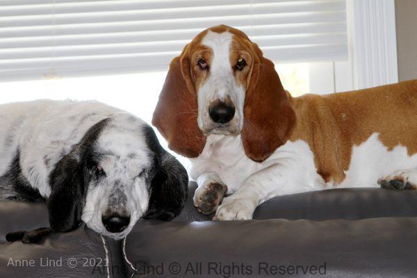 Izzi and Naomi