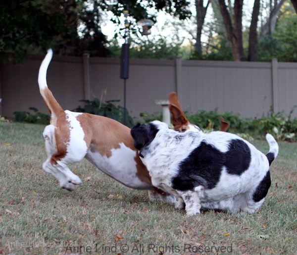Izzi and Naomi
