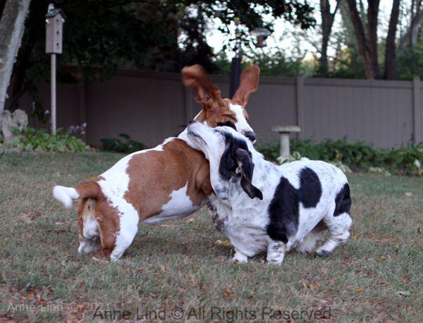 Izzi and Naomi