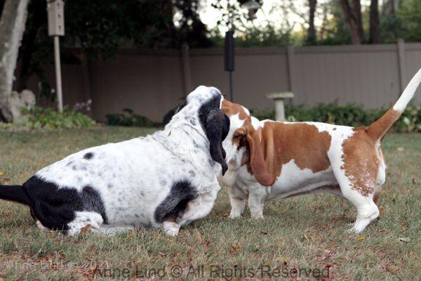 Izzi and Naomi