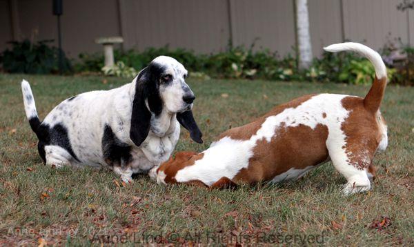 Izzi and Naomi