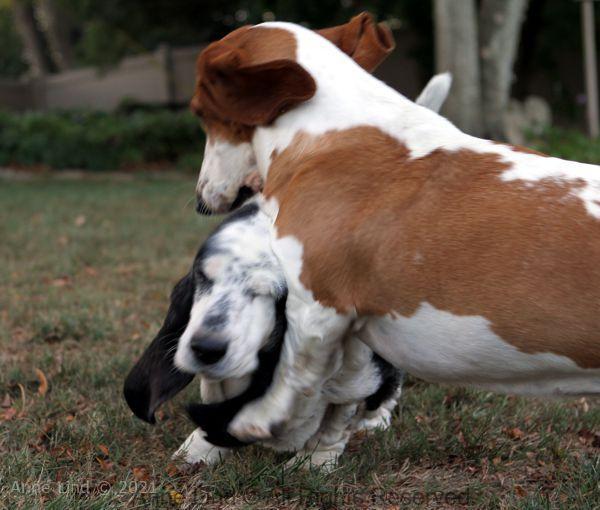 Izzi and Naomi