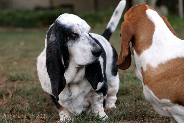 Izzi and Naomi