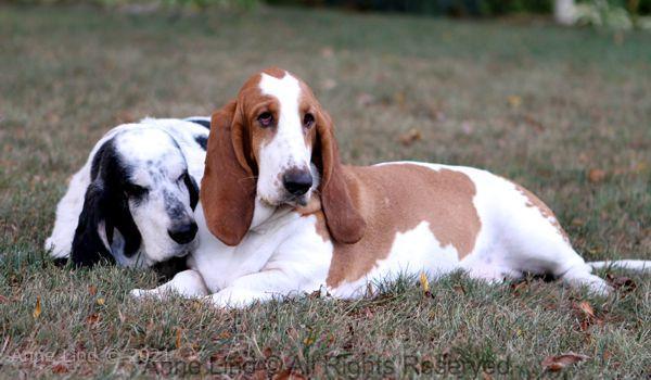 Izzi and Naomi