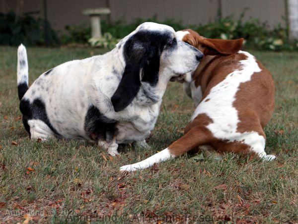 Izzi and Naomi