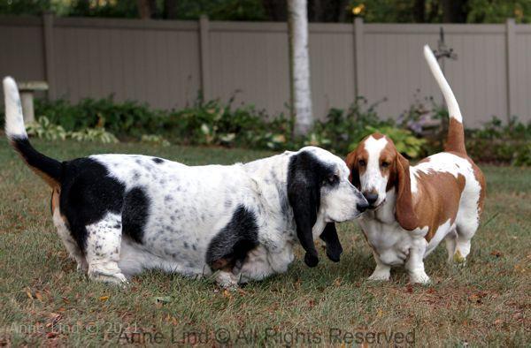 Izzi and Naomi