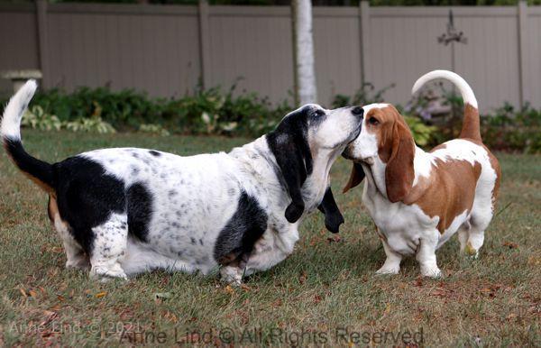 Izzi and Naomi