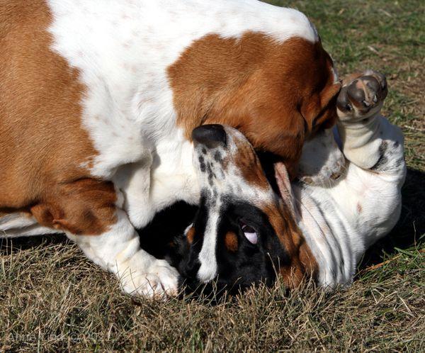 Nora and Naomi wrestling