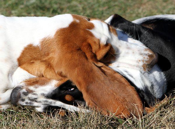 Nora and Naomi wrestling