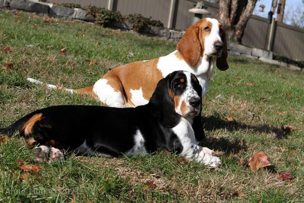 Naomi and Nora